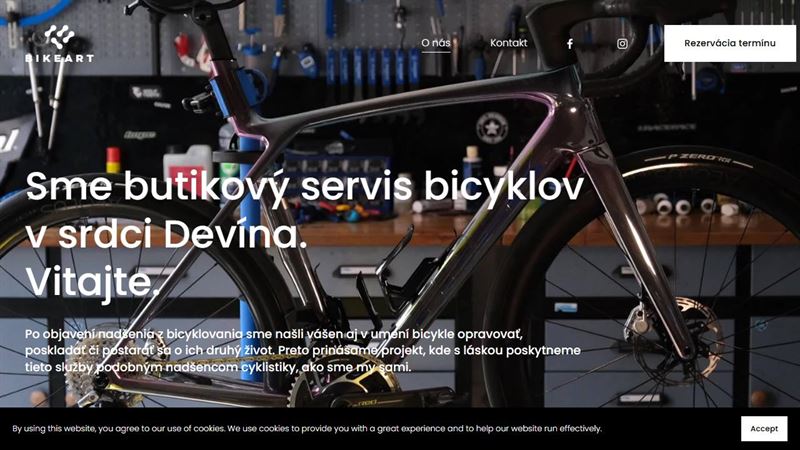 ba_node_10941241139 BikeArt