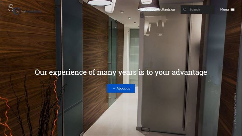 Senior Consultants
