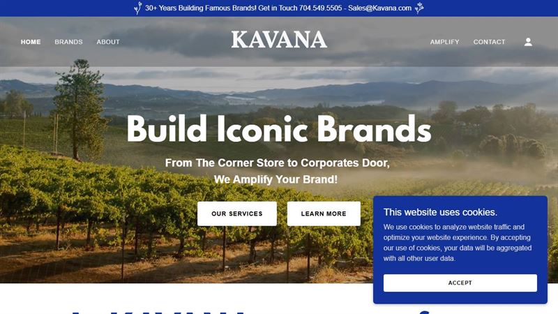 Kavana