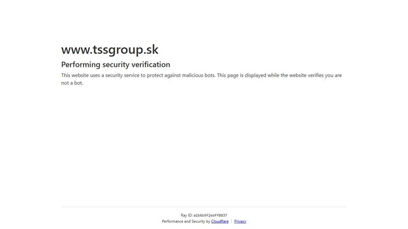 TSS Group