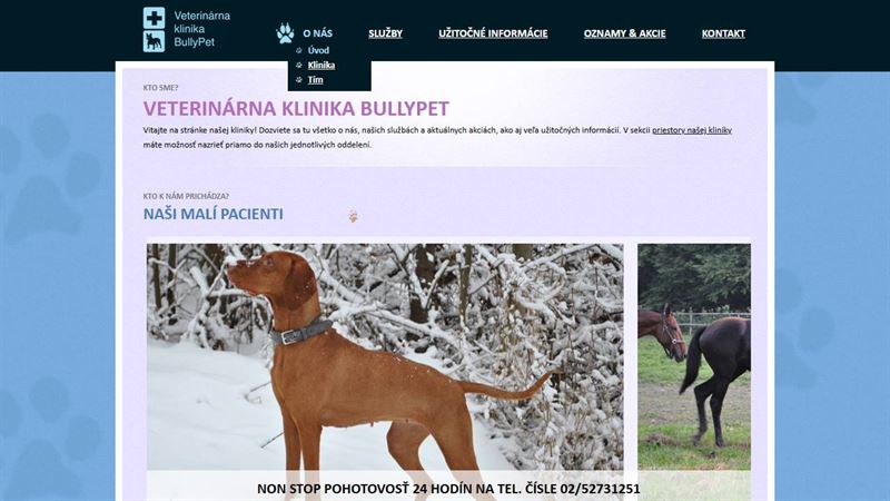 ba_node_2659645741 Bullypet