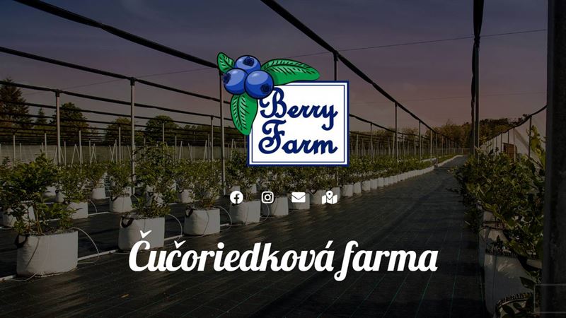 ba_way_1041198455 Berry Farm - Čučoriedková farma