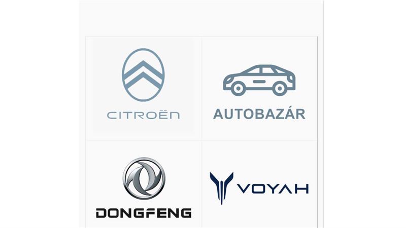 Motor partner
