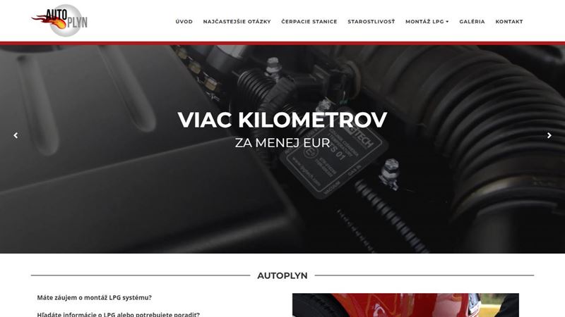 LPG Servis