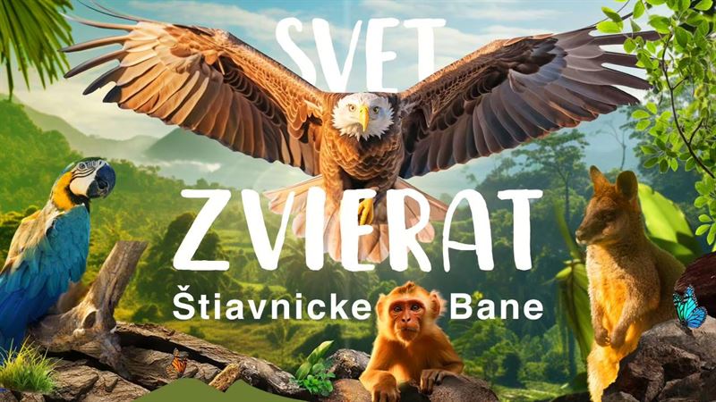 bb_00748 Svet zvierat