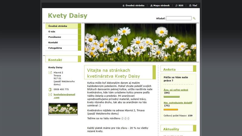 Kvety Daisy