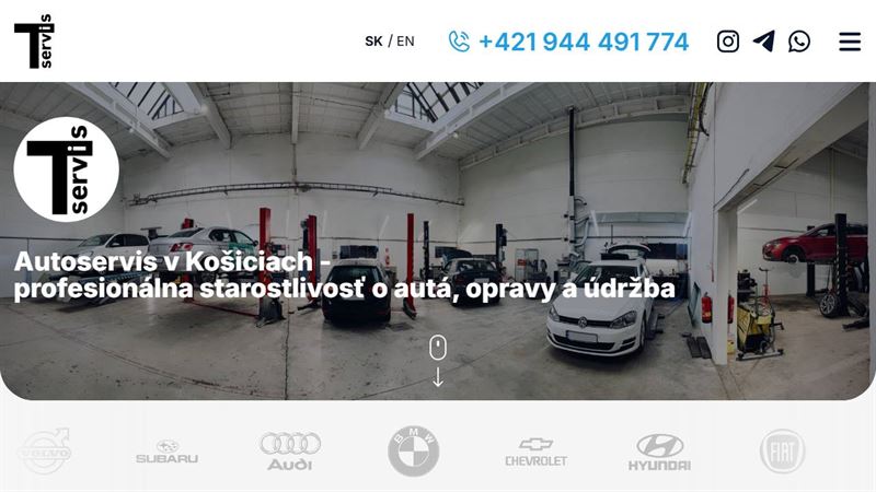 T-Servis