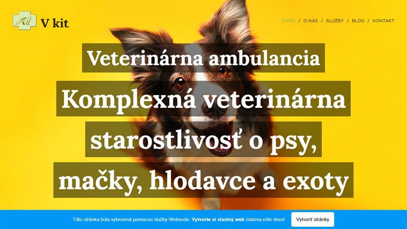 website_00699 Vkit