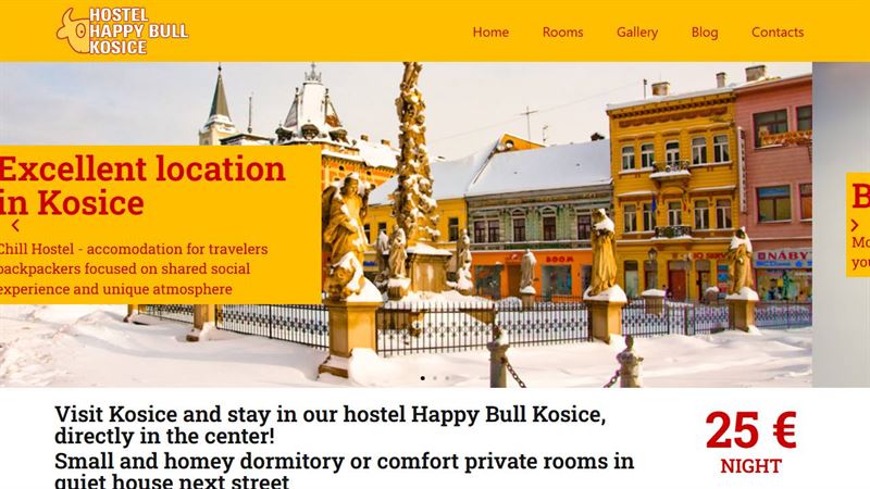 website_01147 Hostel Happy Bull
