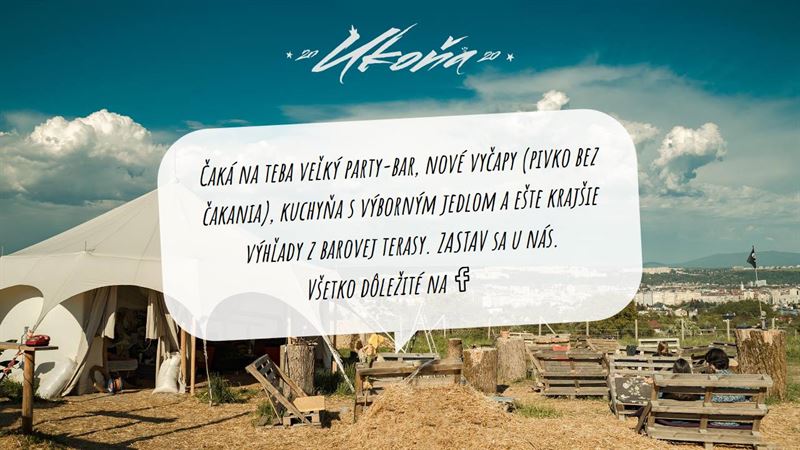 website_01849 U koňa